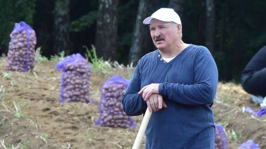 Лукашенко хочет найти редкоземельные металлы: «Надо копать и смотреть» Лукашенко хочет найти редкоземельные металлы: «Надо копать и смотреть»