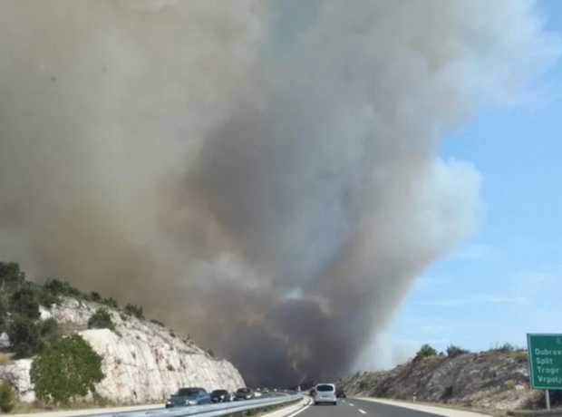 В Хорватии вспыхнул крупный лесной пожар: есть пострадавшие
