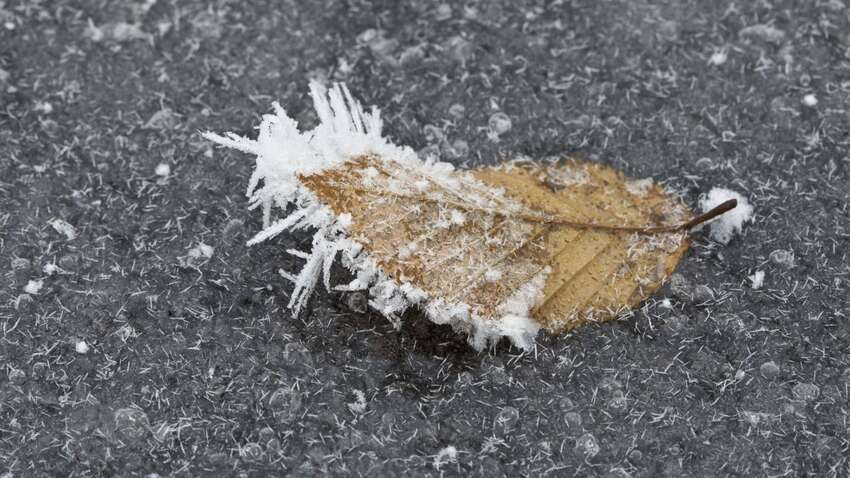 Холодна погода має несподіваний вплив на здоров'я: сенсаційне відкриття вчених 