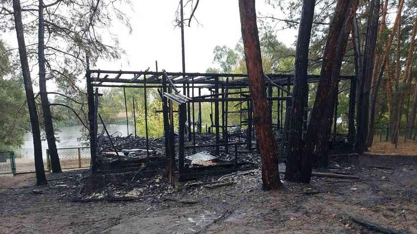 С базы отдыха - в больницу: сколько людей пострадало в пожаре в Харьковской области С базы отдыха - в больницу: сколько людей пострадало в пожаре в Харьковской области