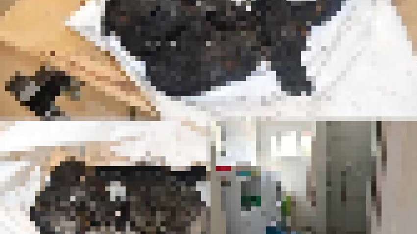 Это может шокировать: Израиль опубликовал фото убитых ХАМАС младенцев (18+) Это может шокировать: Израиль опубликовал фото убитых ХАМАС младенцев (18+)