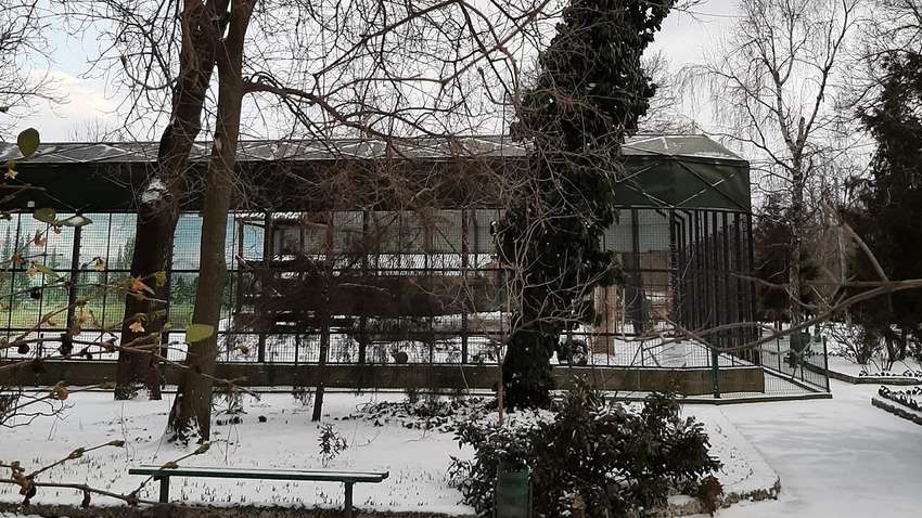 Животные и война: как украинским зоопаркам помогают иностранные коллеги