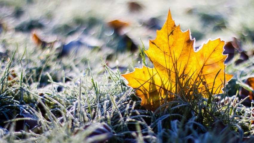 Синоптик розповіла, коли закінчиться тепла погода та прийдуть холода Синоптик розповіла, коли закінчиться тепла погода та прийдуть холода