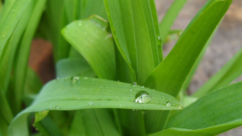 Прогноз погоди на 16 травня: де сьогодні пройдуть дощі