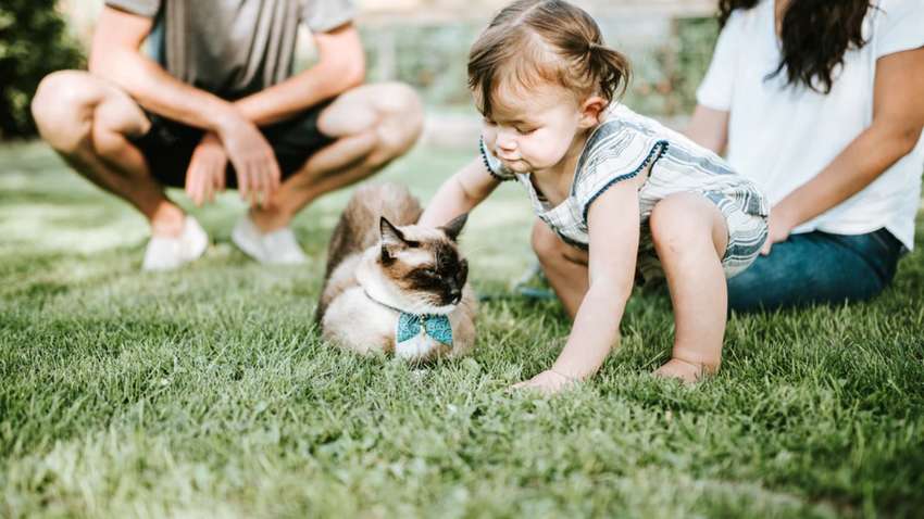 Психолог рассказала, какое простое правило работает в любой ситуации