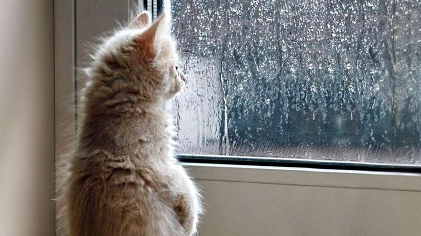 Коли починається осіннє похолодання: яка буде погода в Україні Коли починається осіннє похолодання: яка буде погода в Україні