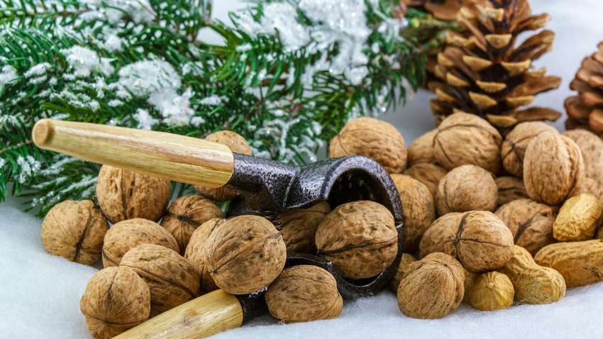 Лікарі пояснили, чому любителі горіхів живуть довше