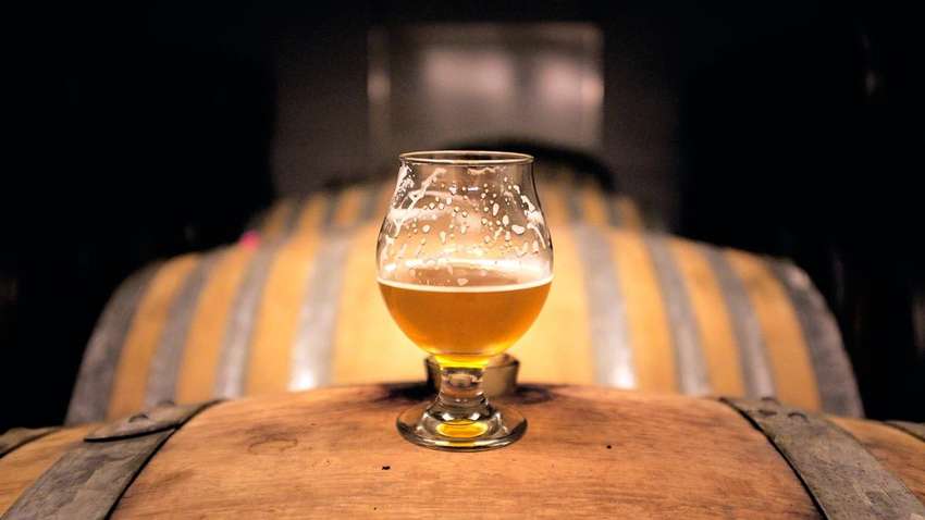 Названа безопасная для организма доза пива в день