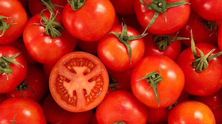 Чим можуть бути шкідливі звичайні помідори