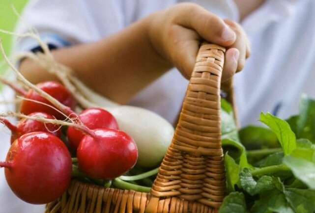 Посадіть ці овочі зараз, і ви зберете врожай у травні