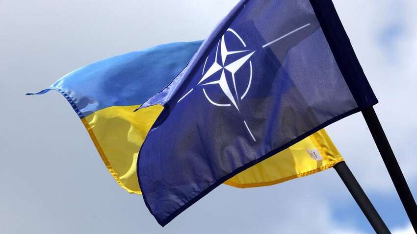 НАТО все ближе: Альянс проведет проверку украинских военных учебных заведений