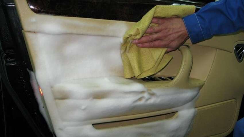 В салоне авто бактерий больше, чем на унитазе: какие места кишат бактериями