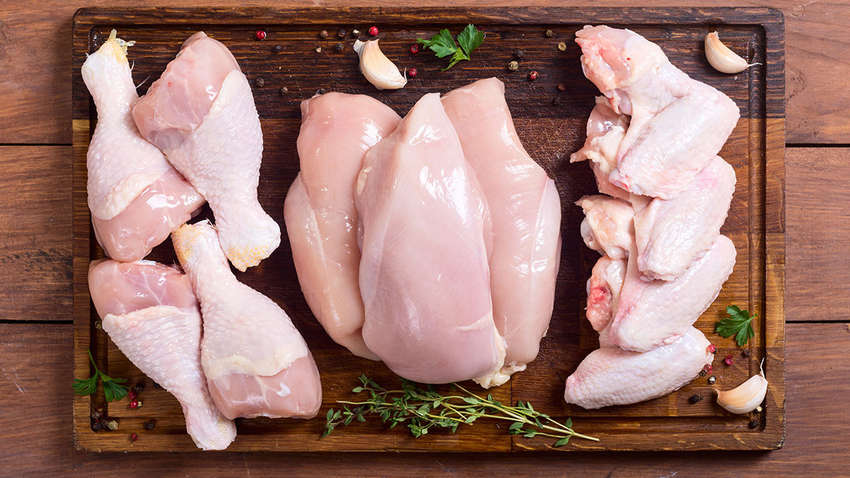 Стало известно, в какой курятине содержится сальмонелла: названа компания 