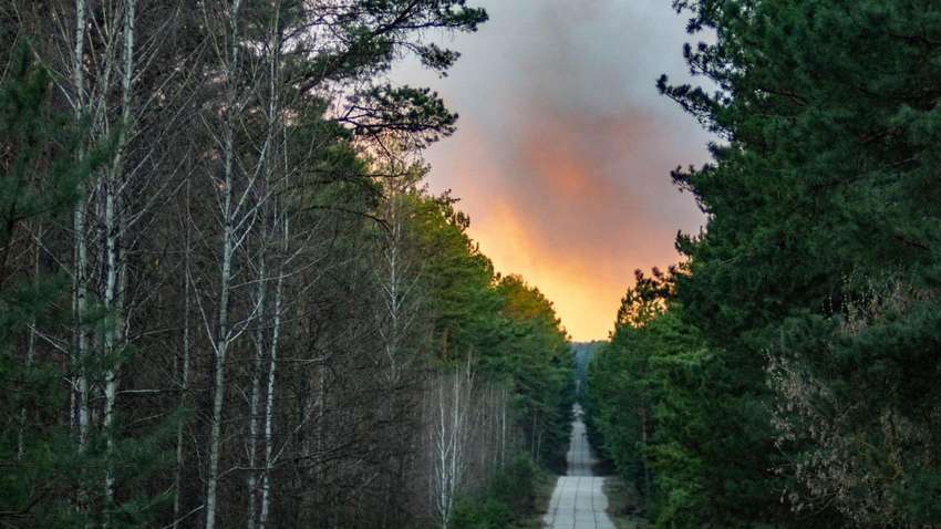 Пожар в Чернобыле: как изменился уровень радиации