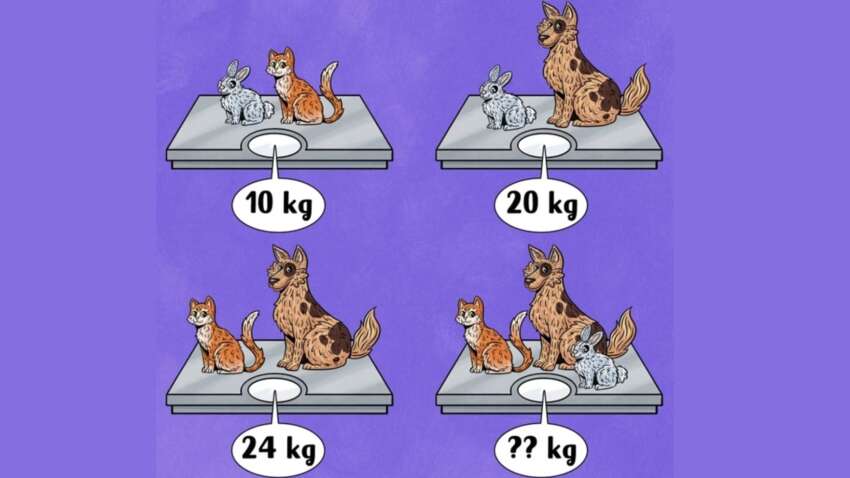 Загадка для детей, с которой теряются взрослые: сколько весят животные Загадка для детей, с которой теряются взрослые: сколько весят животные