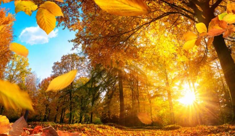 Интересные факты о сентябре, которых вы могли не знать