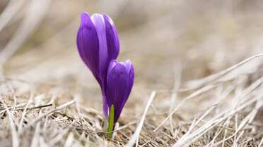 Яке сьогодні свято: що можна і не можна робити