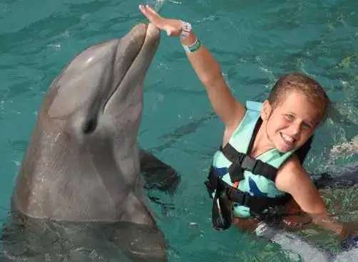 Оскаженілі дельфіни ледь не вбили дівчинку