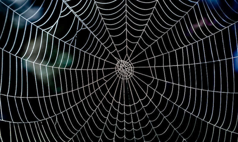 Кому найбільше в світі сподобалась операція «Павутина»: несподівані дані 