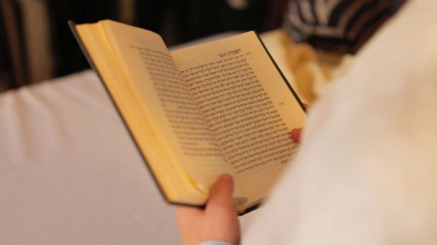 Чему нас учит чтение: 5 полезных привычек Чему нас учит чтение: 5 полезных привычек