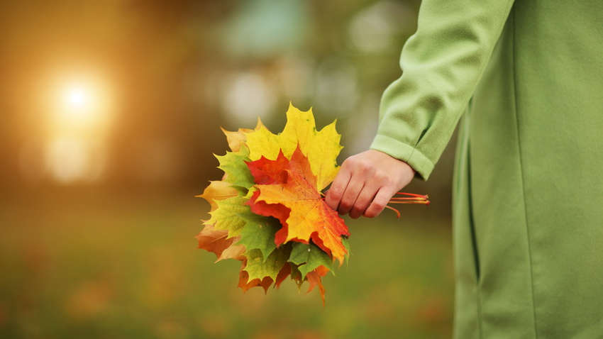 Яку погоду очікувати українцям 11 вересня