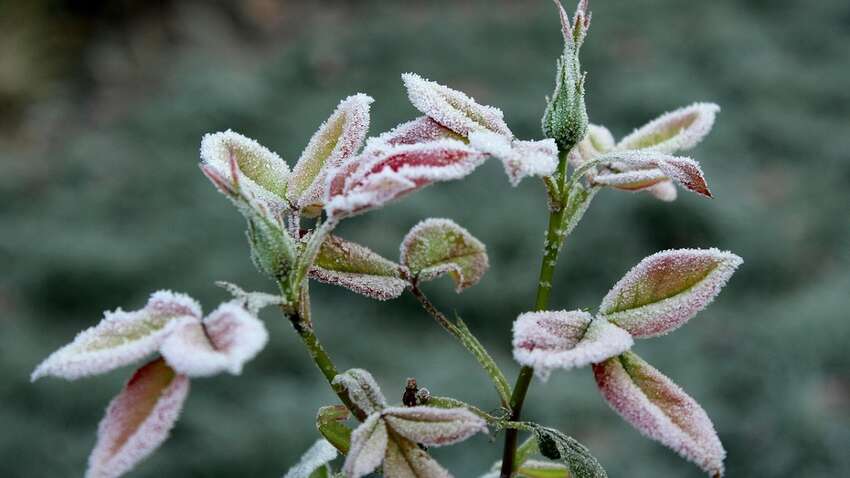 Синоптики ошеломили новым прогнозом: что будет происходить с погодой в ближайшие дни Синоптики ошеломили новым прогнозом: что будет происходить с погодой в ближайшие дни