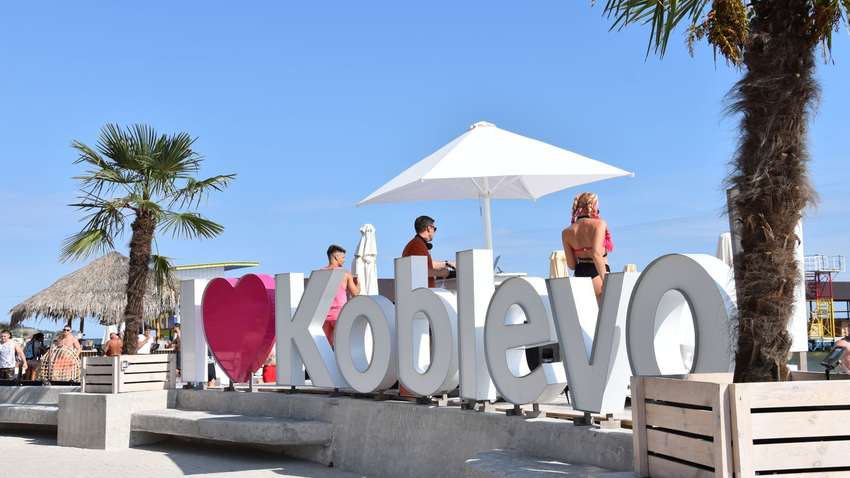 У Коблево туристи розгромили готель і протаранили ворота, щоб сховатися від поліції (ВІДЕО)