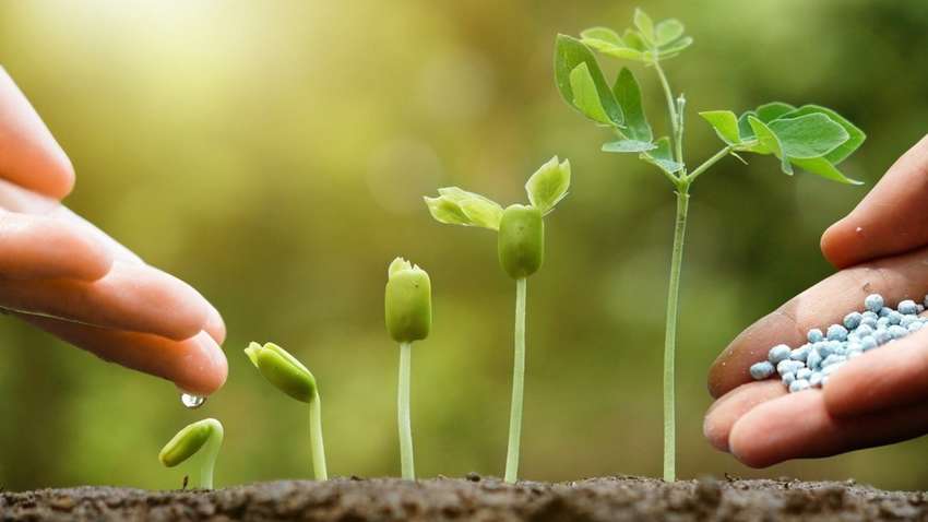 Україна купила імпортних добрив на один мільярд доларів