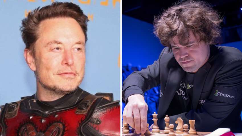 Это база: Маск поддержал лучшего шахматиста мира, обматерившего пророссийскую ФИДЕ Это база: Маск поддержал лучшего шахматиста мира, обматерившего пророссийскую ФИДЕ