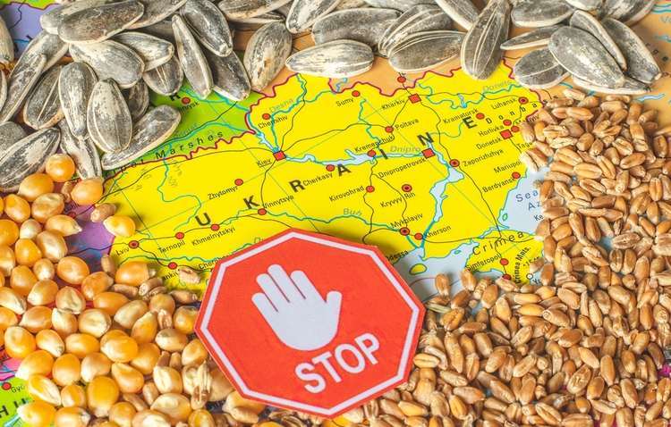 Украина назвала условие отзыва исков в ВТО из-за зерна Украина назвала условие отзыва исков в ВТО из-за зерна