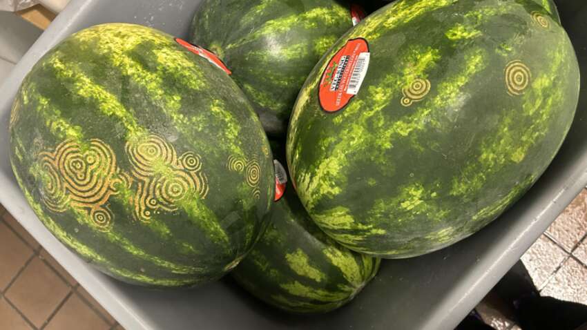 Людей по всьому світу налякали "інопланетні" мітки на кавунах: що це таке (ФОТО)