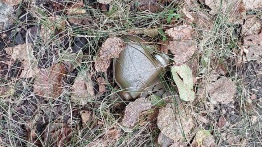 На вулицях обласного центру знаходять смертельні знахідки: що небезпечно робити