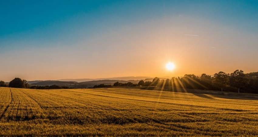 Відкриття ринку землі в Україні: названа вартість гектара