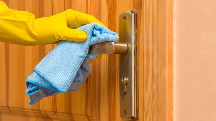 Які предмети в будинку накопичують найбільше бактерій Які предмети в будинку накопичують найбільше бактерій