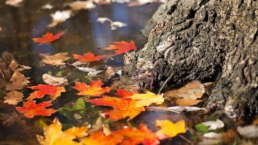 Какой церковный праздник 7 октября: что нужно сделать сегодня, чтобы привлечь удачу и здоровье Какой церковный праздник 7 октября: что нужно сделать сегодня, чтобы привлечь удачу и здоровье