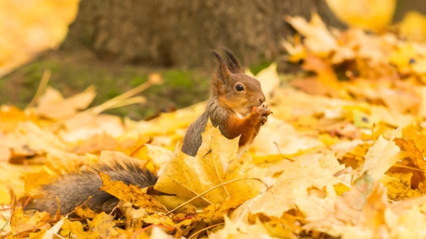 Погода в Украине: кто окажется в эпицентре дождей