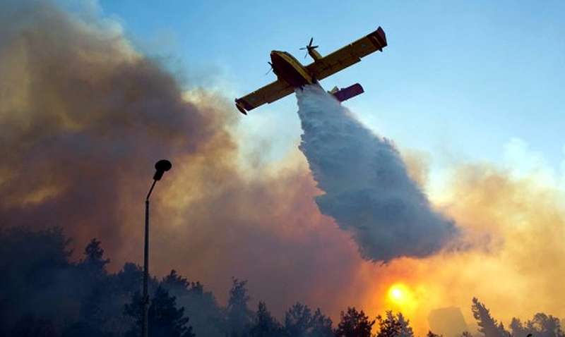 Горит миллион гектаров леса: в Сибири наконец-то начали тушить масштабный пожар