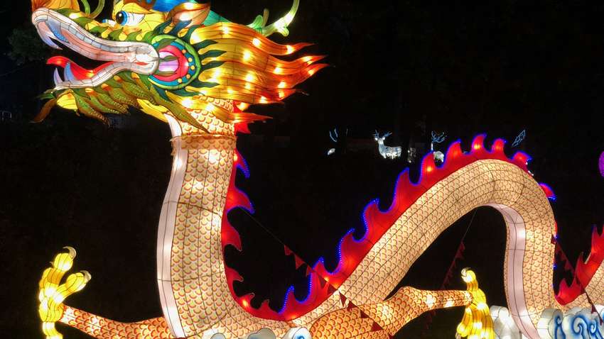 Харьков зажигает огни: что ждет посетителей Фестиваля гигантских китайских фонарей