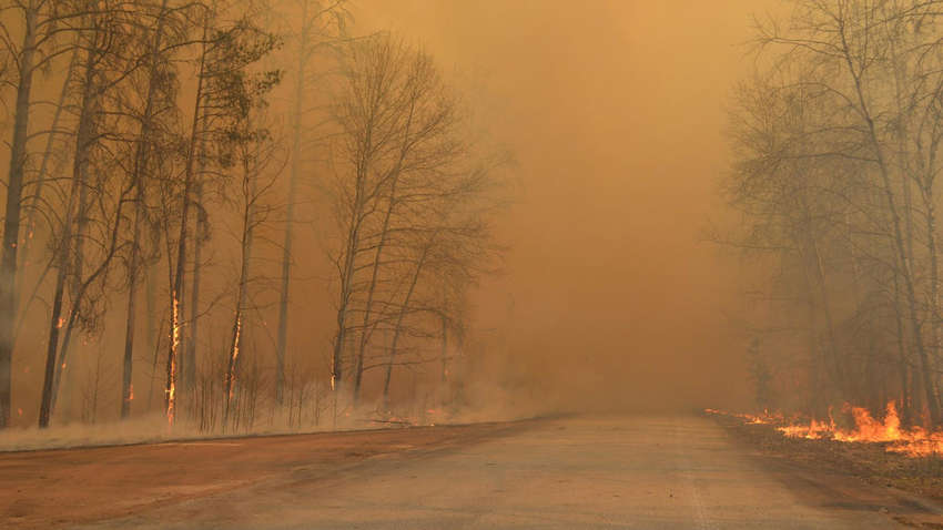 «Уважно стежу за ситуацією в Чорнобильській зоні»: Зеленський відреагував на пожежі
