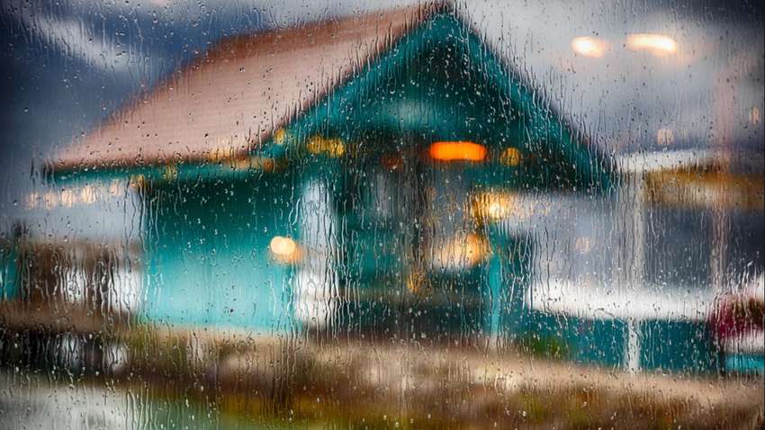 Почему так хорошо пахнет после дождя и чем это грозит здоровью Почему так хорошо пахнет после дождя и чем это грозит здоровью