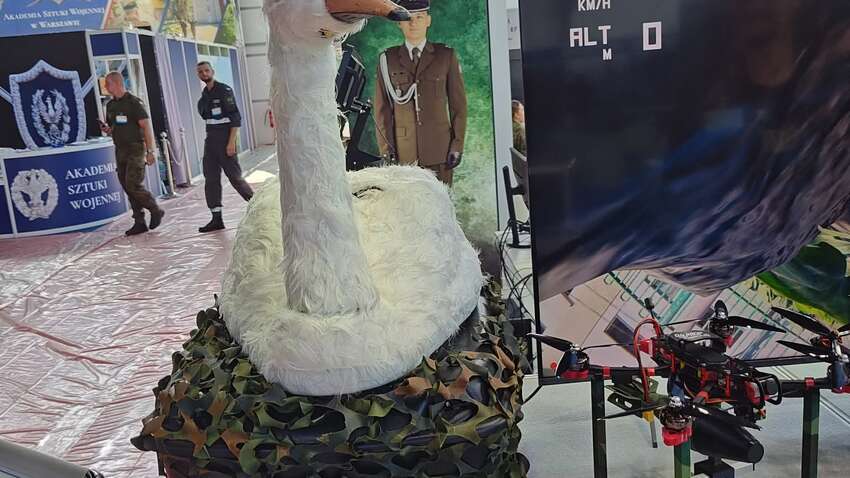 Новый дрон «Боевой Лебедь» от поляков: на что он способен Новый дрон «Боевой Лебедь» от поляков: на что он способен