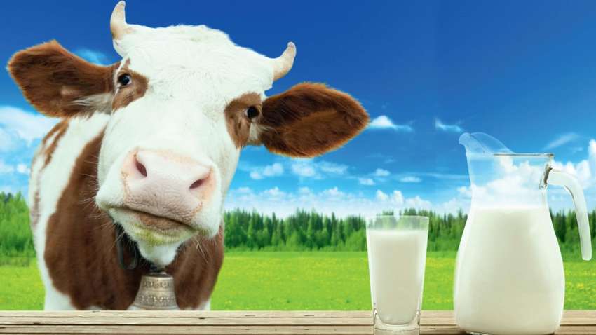 В Україні досі діє закон про видачу молока "за шкідливість": факт дивує Милованова