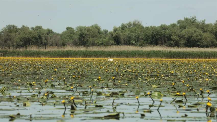 Жара и резкое похолодание: какова погода в августе