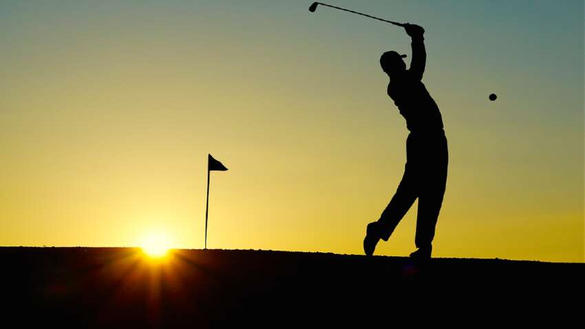 Когда аллигаторы и белки играют в гольф: ТОП смешных историй с PGA Tour и что говорят правила
