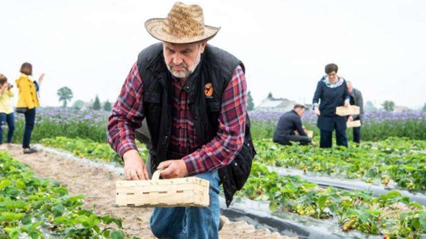 Польские фермеры жалуются на новый закон о мобилизации в Украине: какая причина