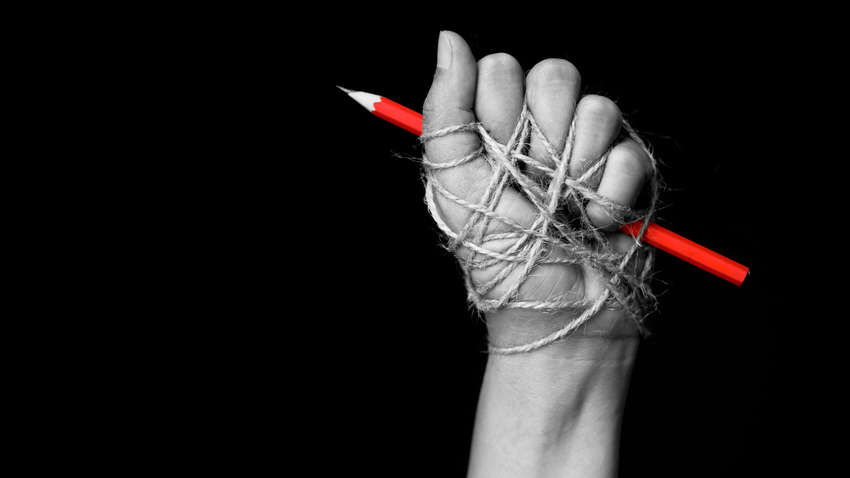 ОПЗЖ закликала не допустити в Україні інформаційний концтабір