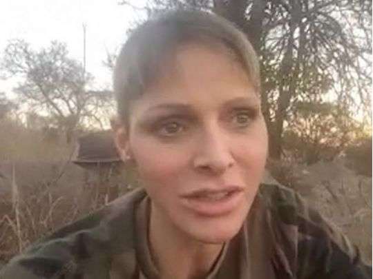 Княгиня Монако рассказала, когда вернется к мужу и детям