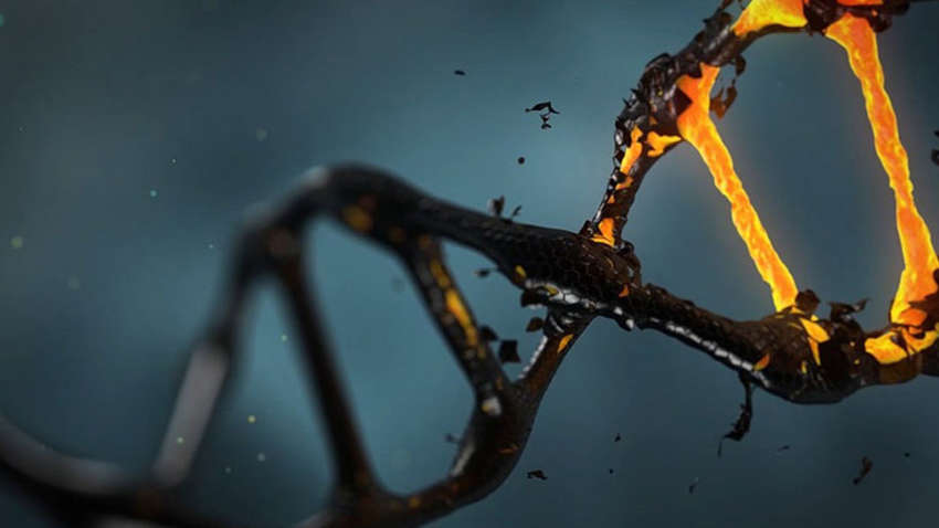 Знайдена нова генетична мутація, яка дозволяє виспатися за короткий час 