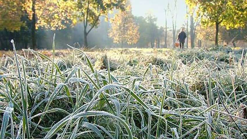 Попередження синоптиків: в Україну йдуть заморозки Попередження синоптиків: в Україну йдуть заморозки