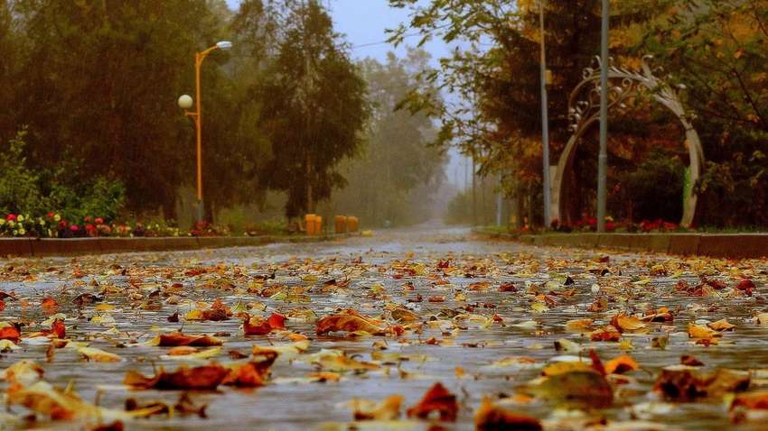 Погода в Украине: синоптики предупредили о наступлении гроз